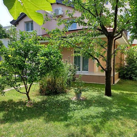Villa Tamara With Garden And River View - Free Private Parking - Garage موستار المظهر الخارجي الصورة